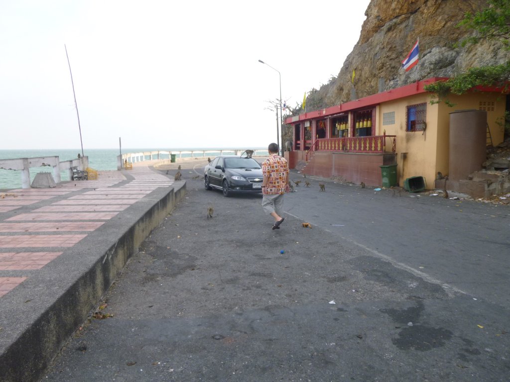 P1050363.JPG