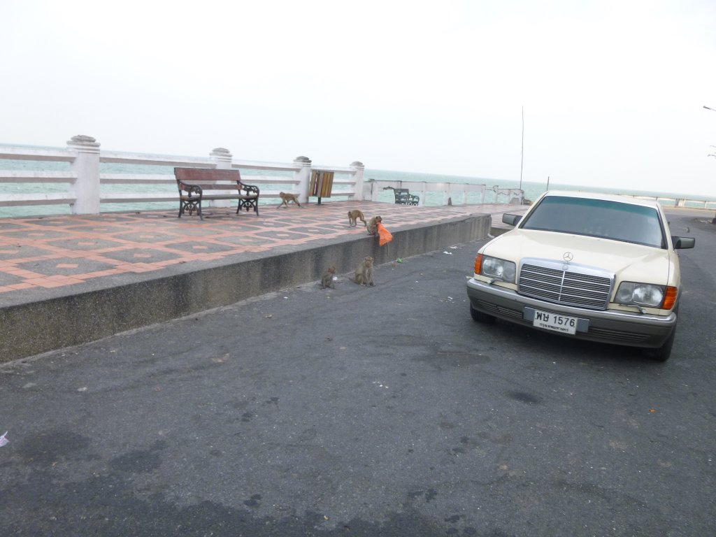 P1050367.JPG