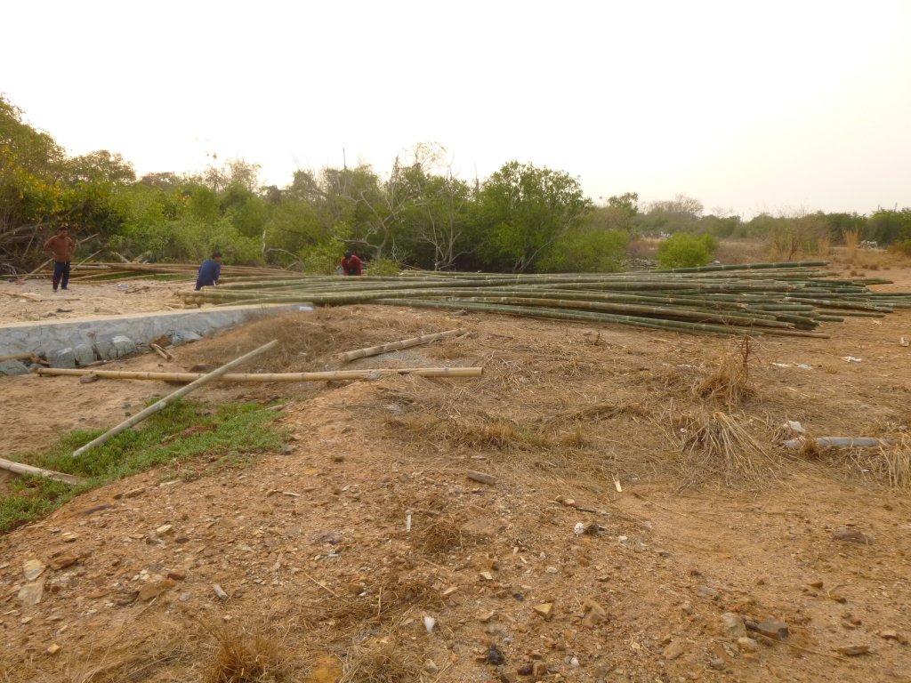 P1050515.jpg