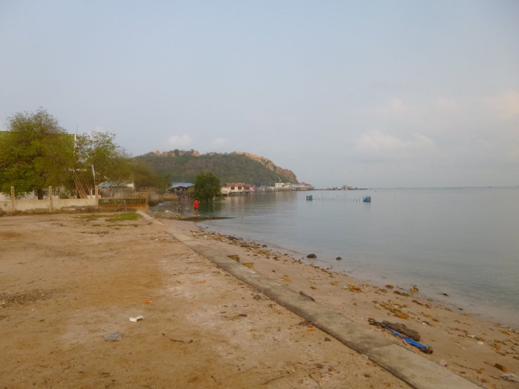 P1050516.jpg