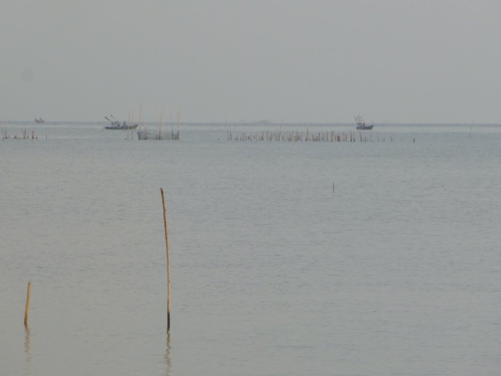 P1050517.jpg