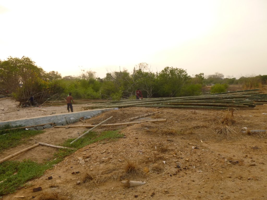 P1050518.jpg