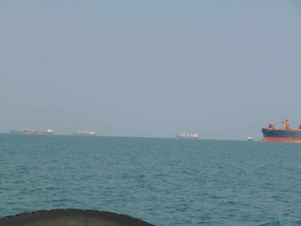 P1050562.jpg