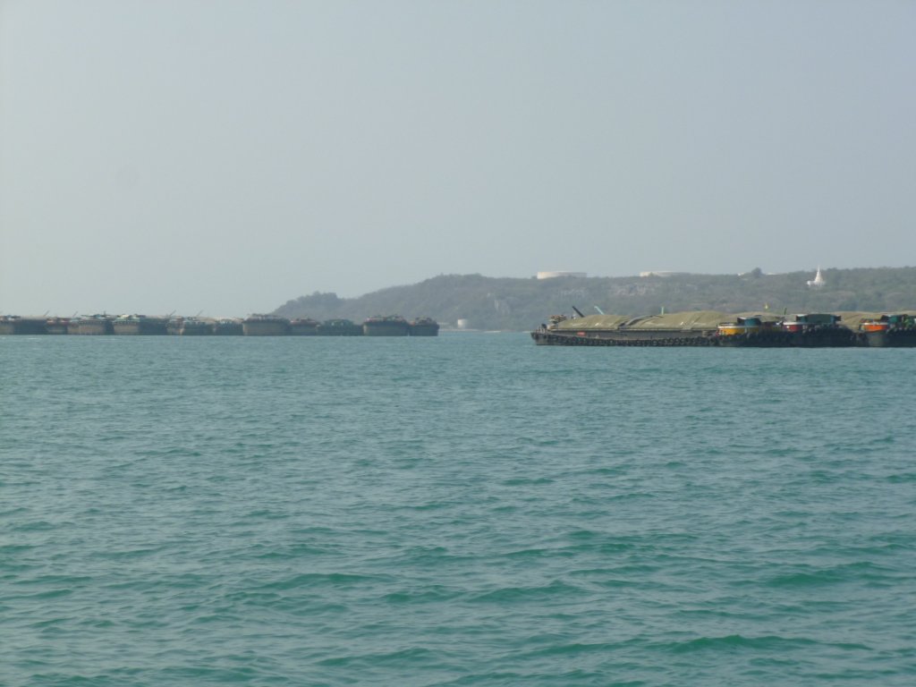 P1050587.jpg