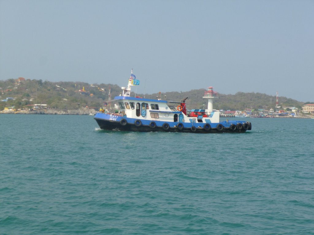 P1050590.jpg
