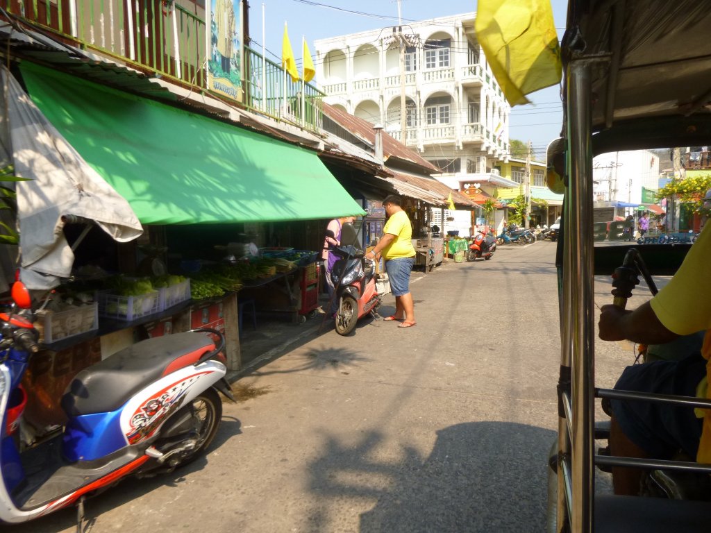 P1050605.jpg