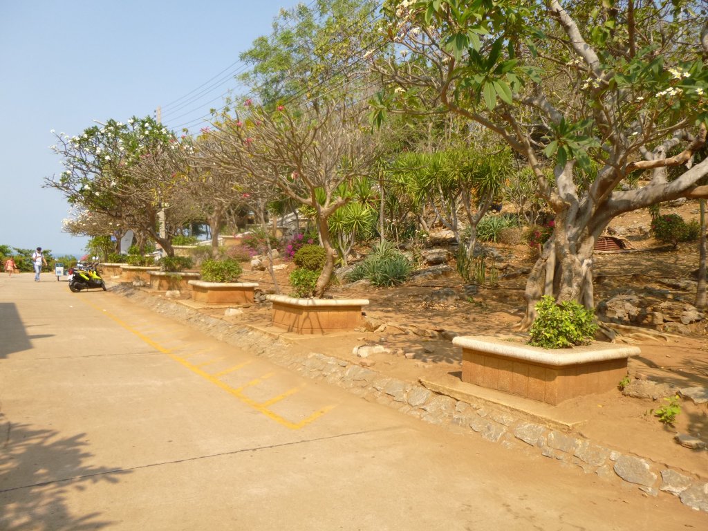 P1050616.jpg