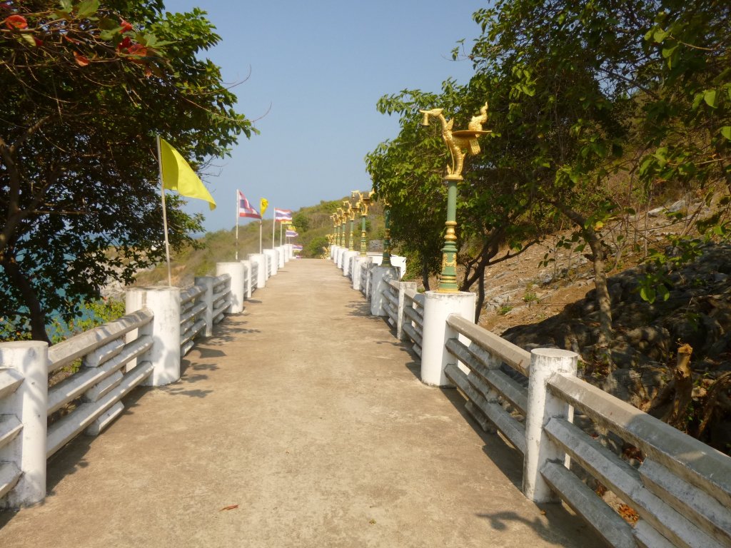P1050623.jpg