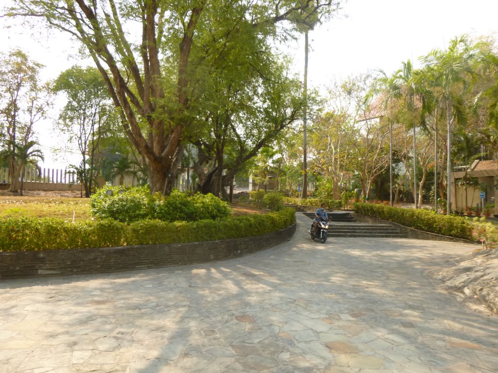 P1050741.JPG