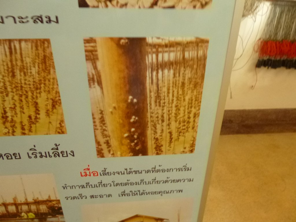 P1050751.JPG