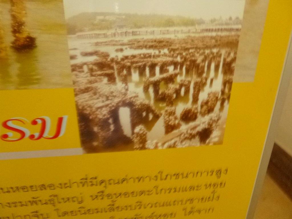 P1050755.JPG