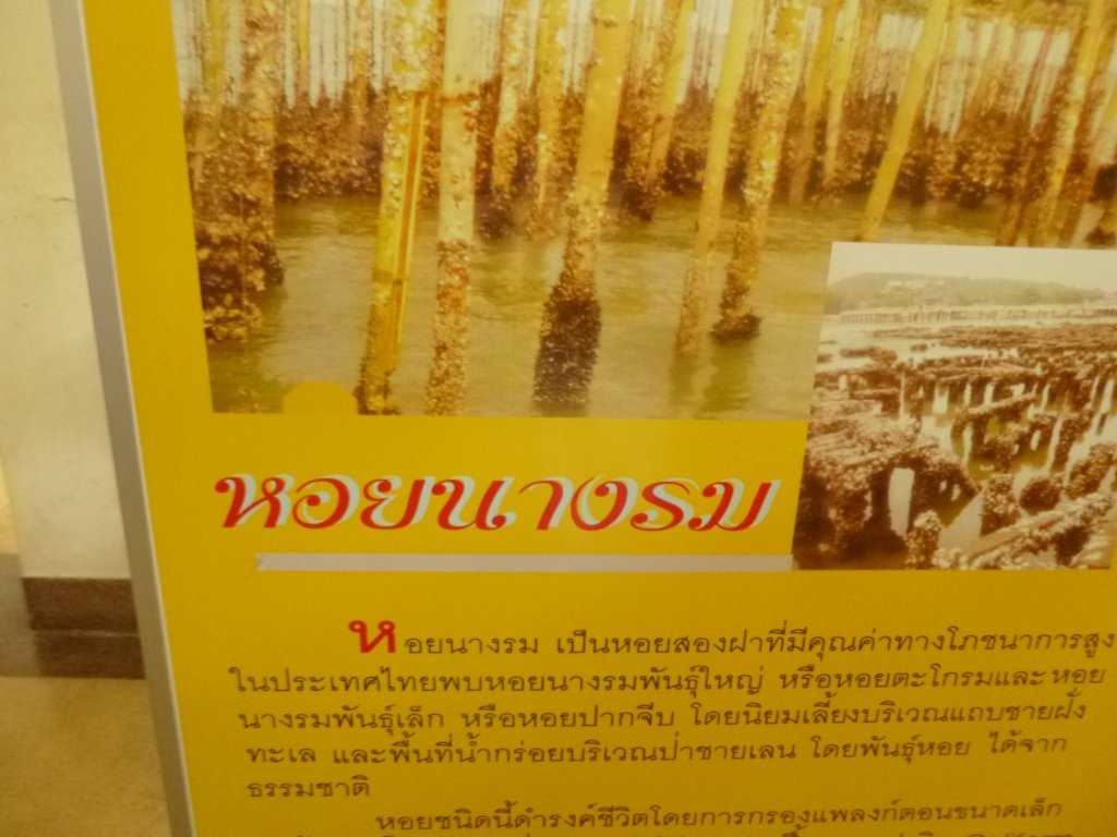 P1050756.JPG