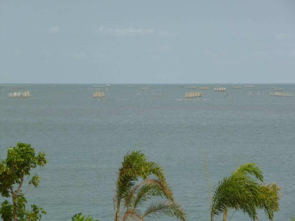 P1050767.JPG
