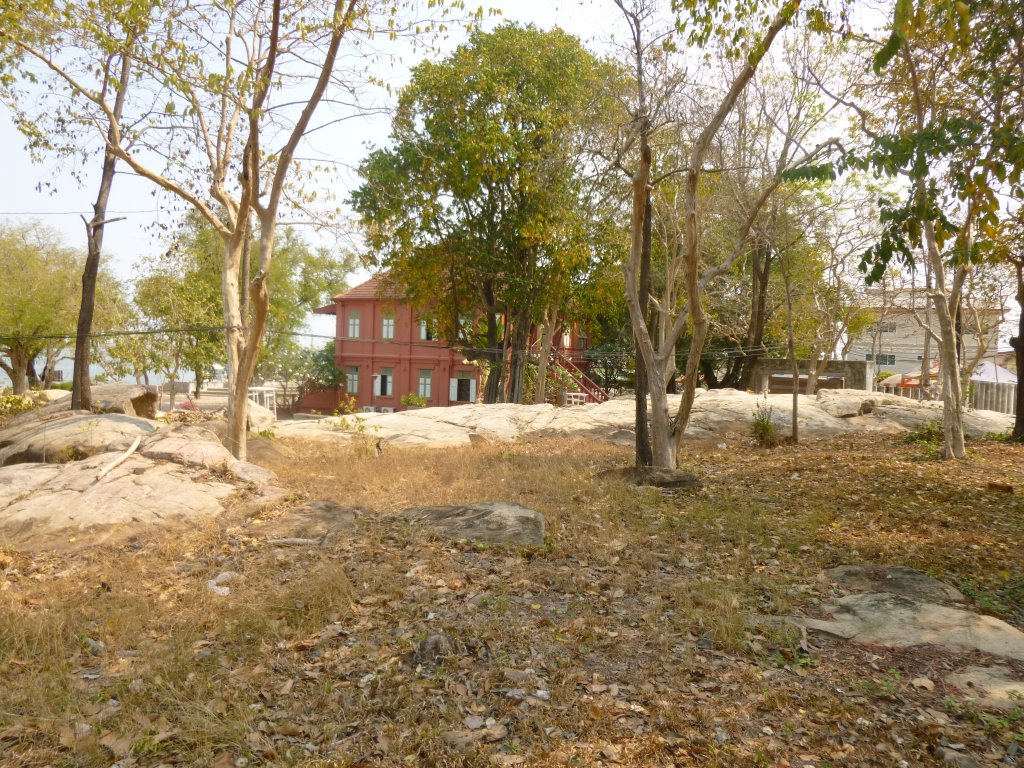 P1050774.JPG