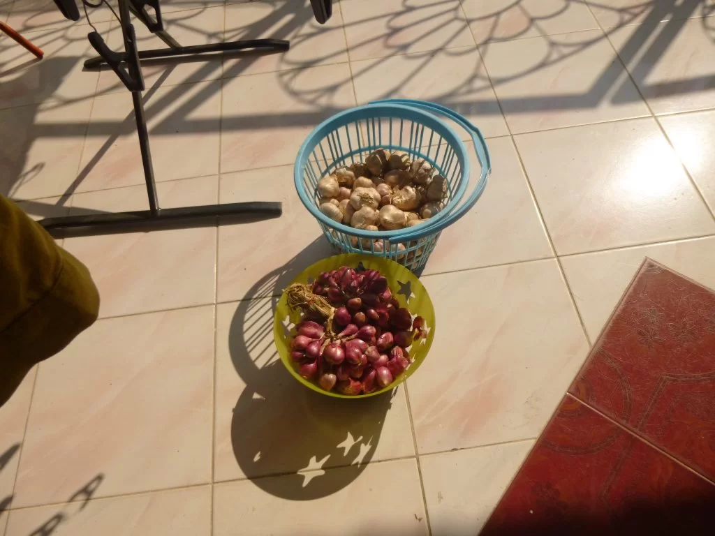 P1050794.webp