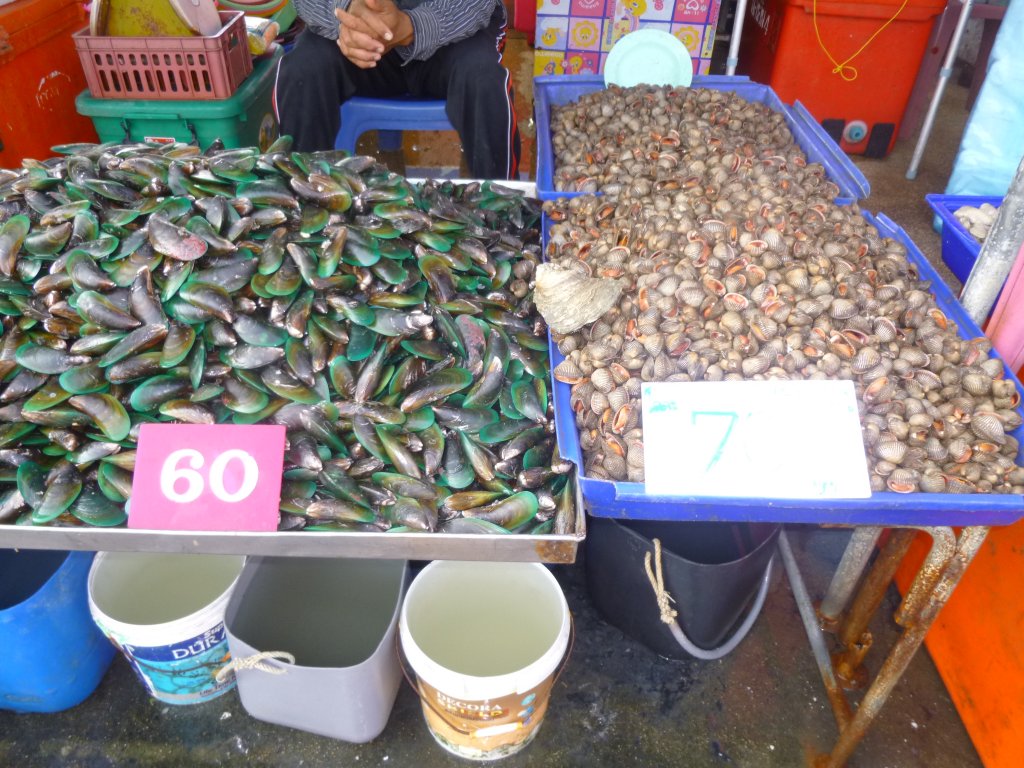 P1050838.JPG