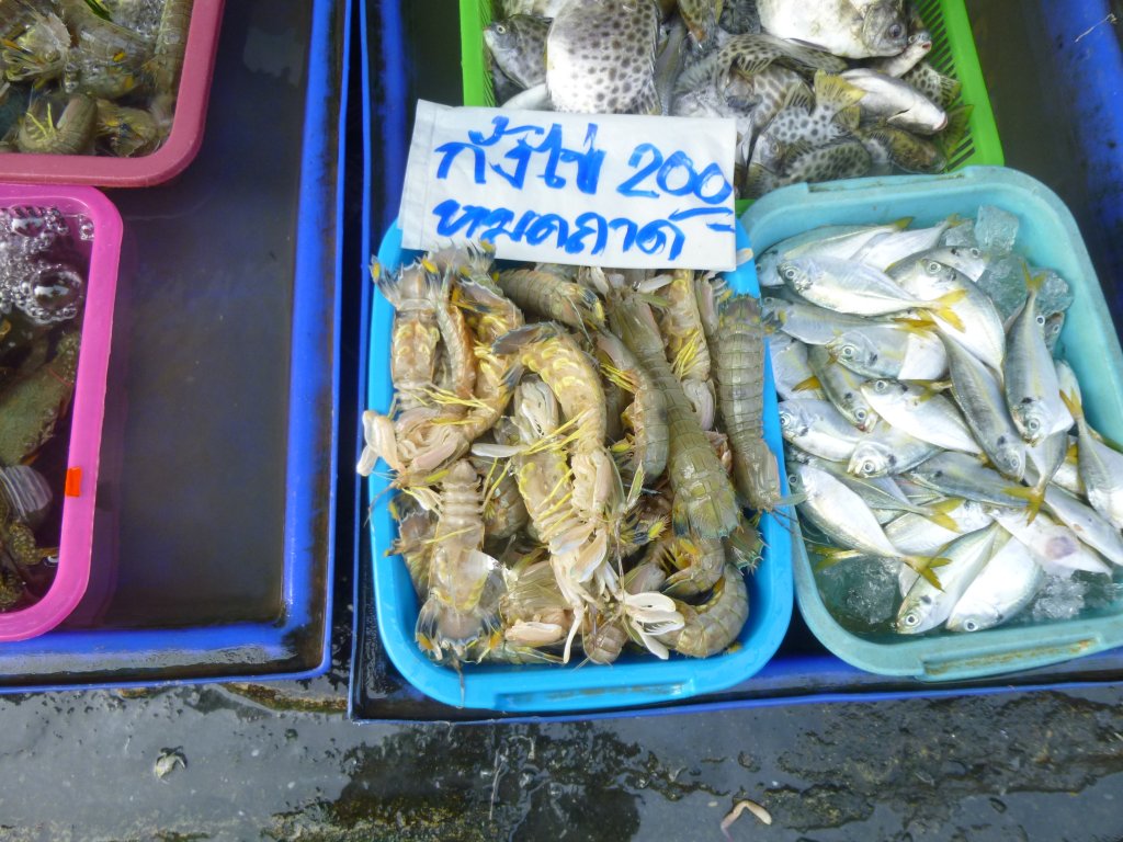 P1050843.JPG