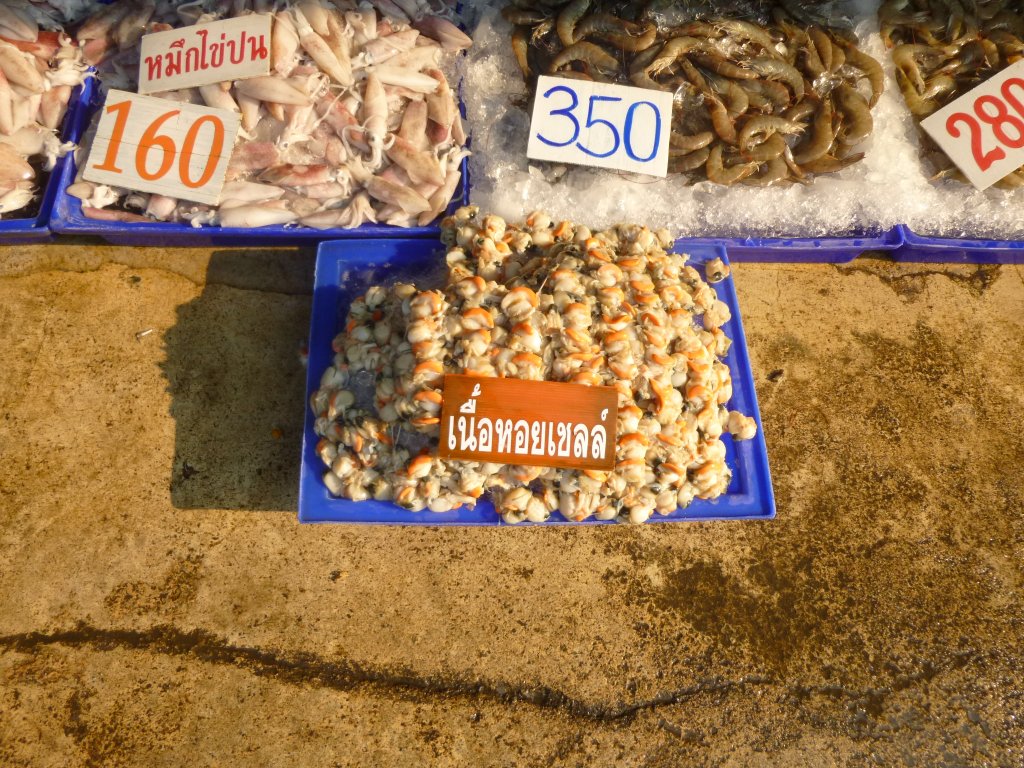 P1050845.JPG