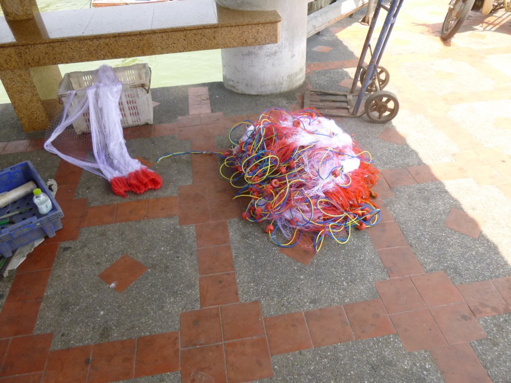 P1050947.JPG