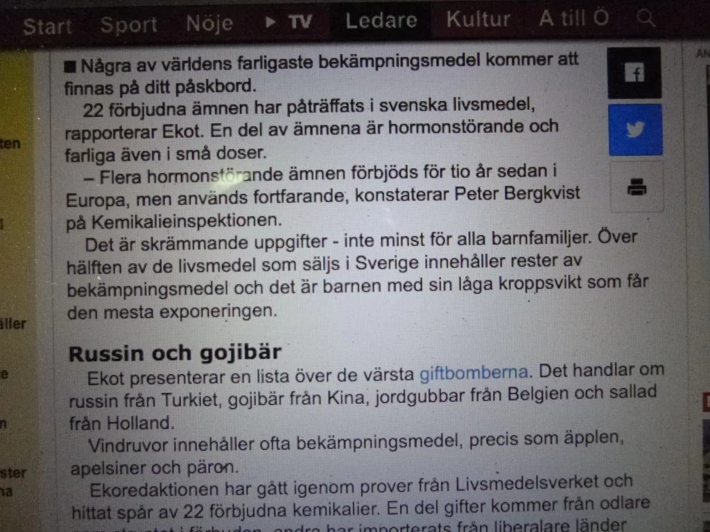 P1050985.webp