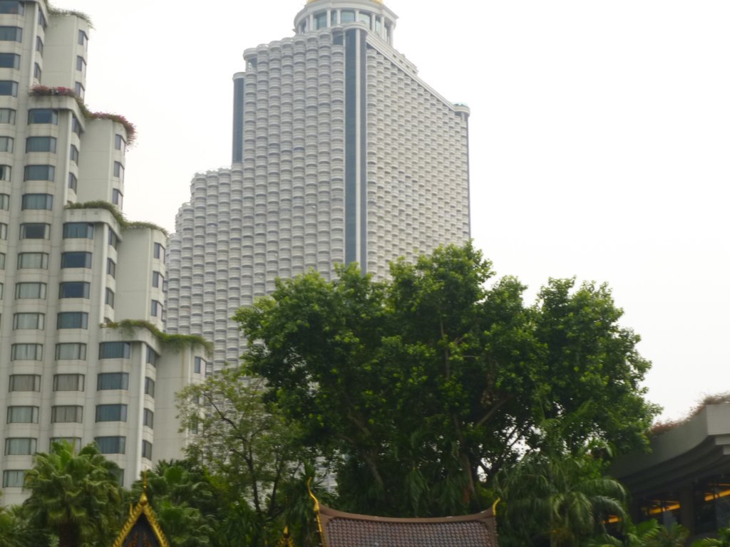 P1060123.JPG