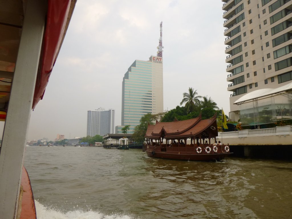 P1060128.JPG