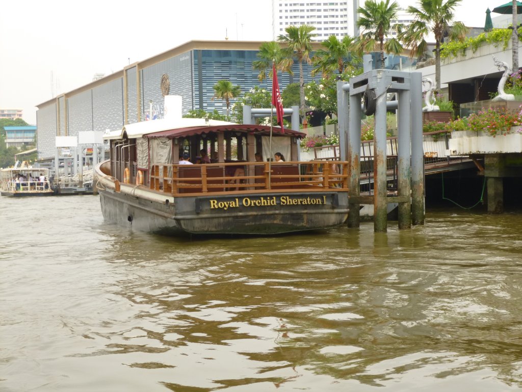 P1060134.JPG
