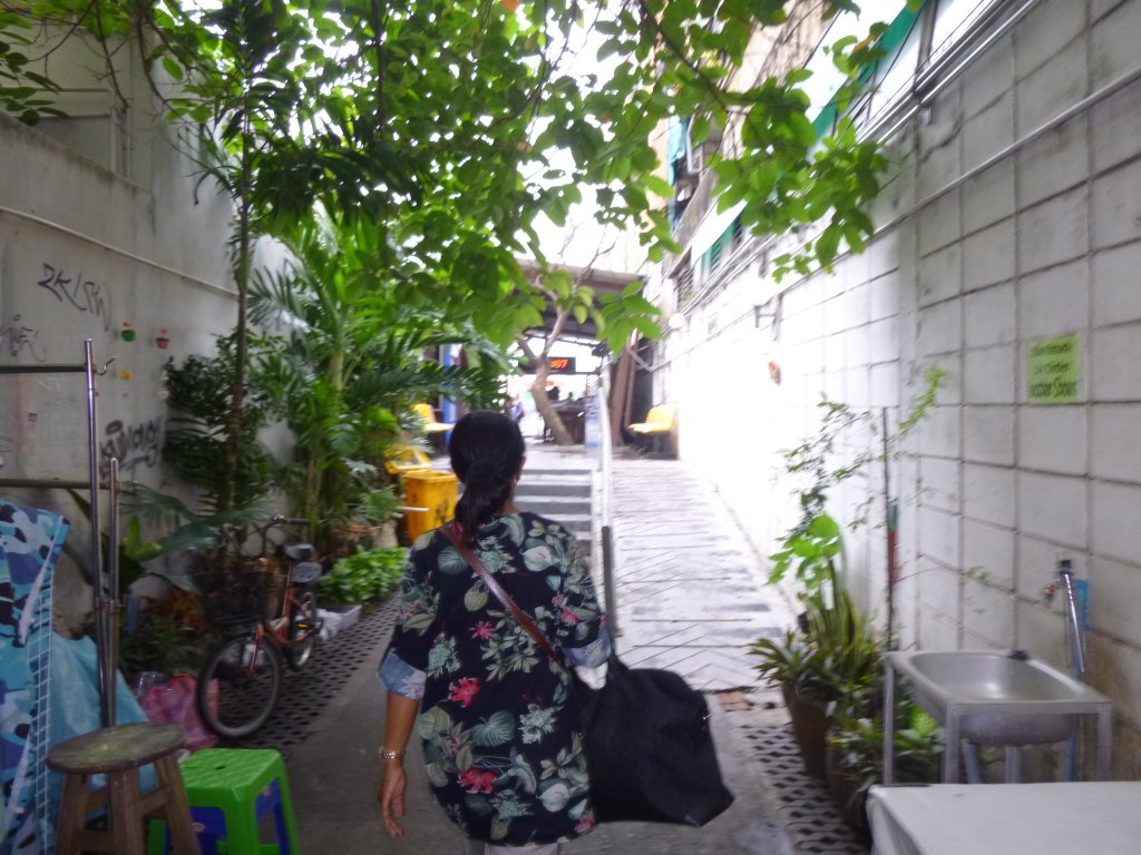 P1060260.JPG