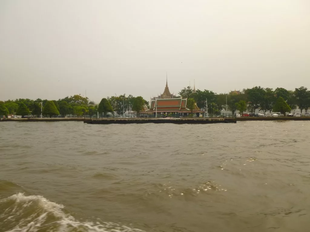 P1060286.webp