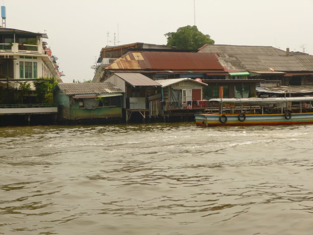 P1060290.JPG