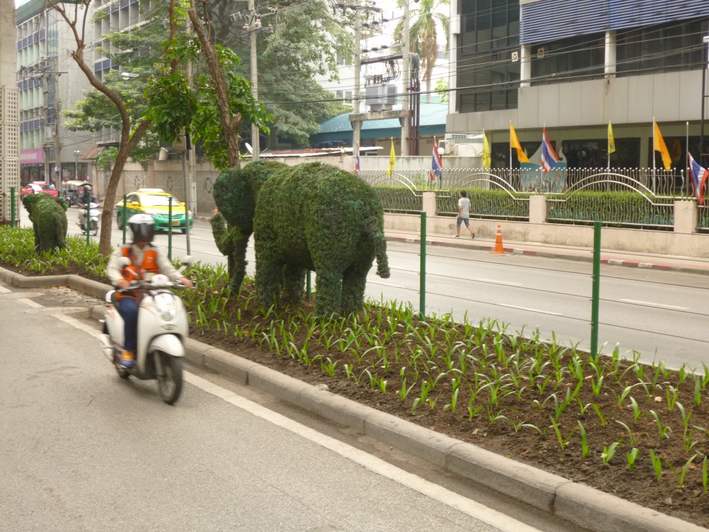 P1060319.JPG
