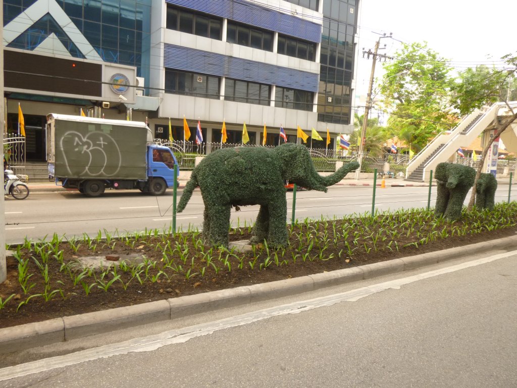 P1060320.JPG