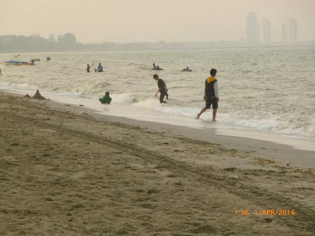 P1060431.webp