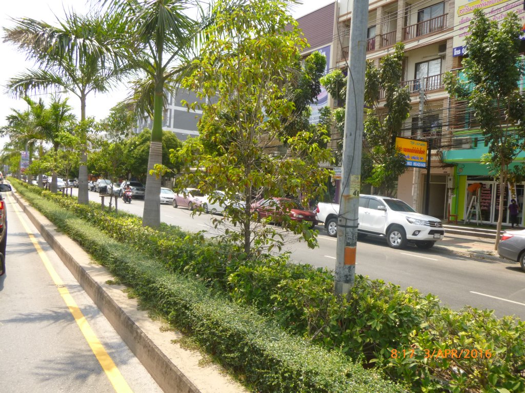 P1060644.JPG