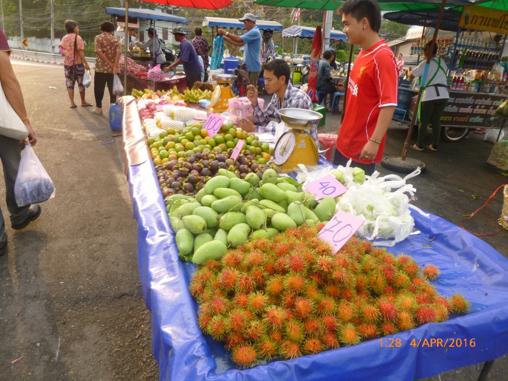 P1060692.JPG