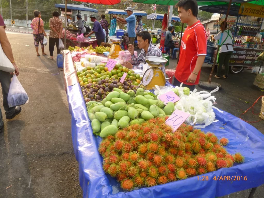 P1060692.webp