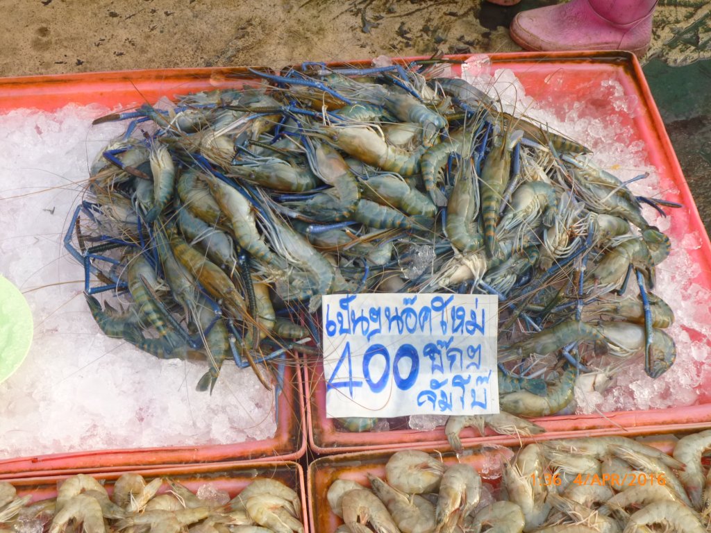 P1060710.JPG