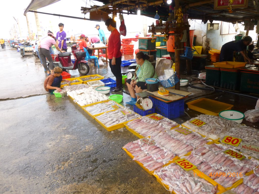 P1060719.JPG