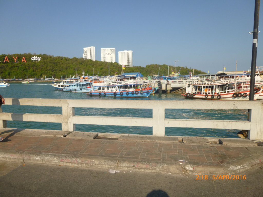 P1060778.JPG
