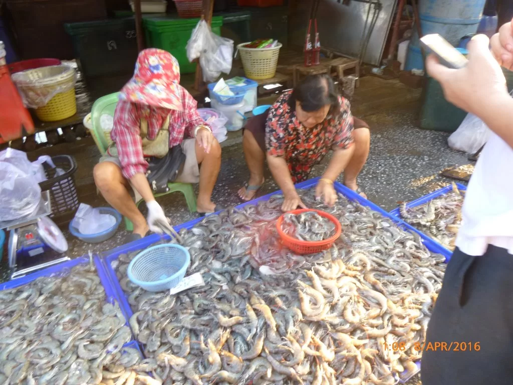 P1060873.webp