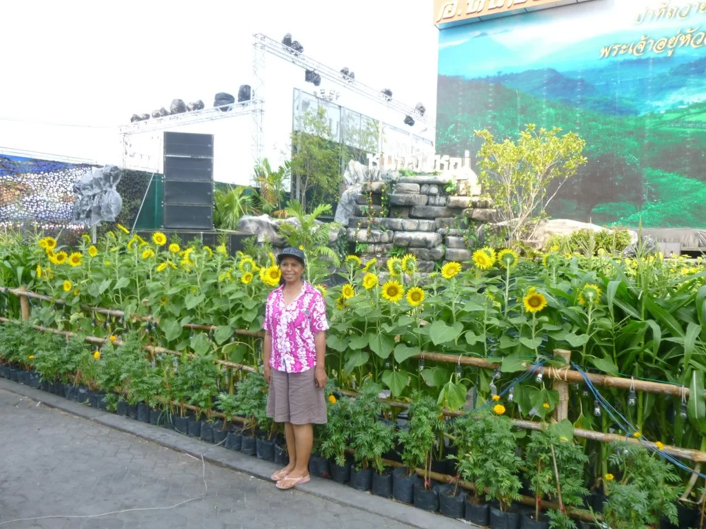 P1070122.webp