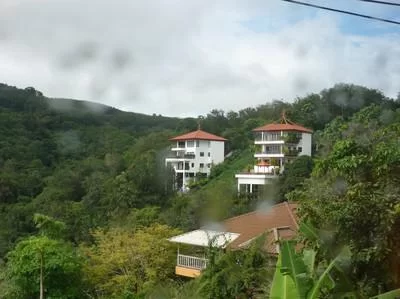 p1070321_116898786.webp