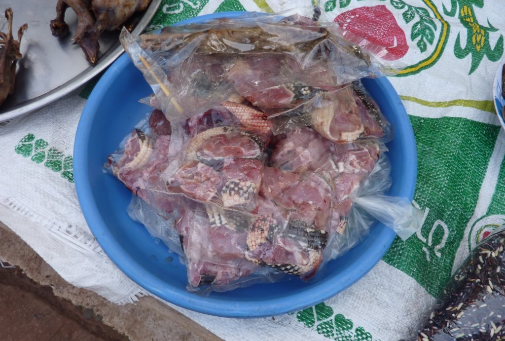 P1070333.JPG