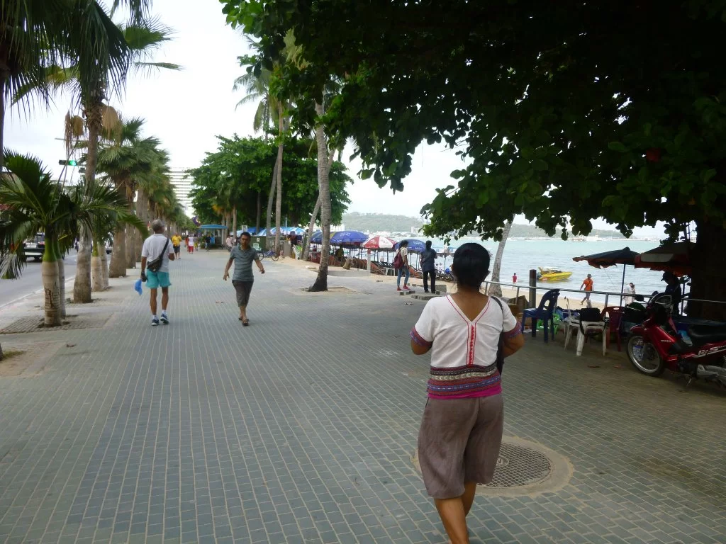 P1070525.webp