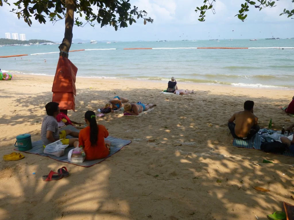 P1070530.webp