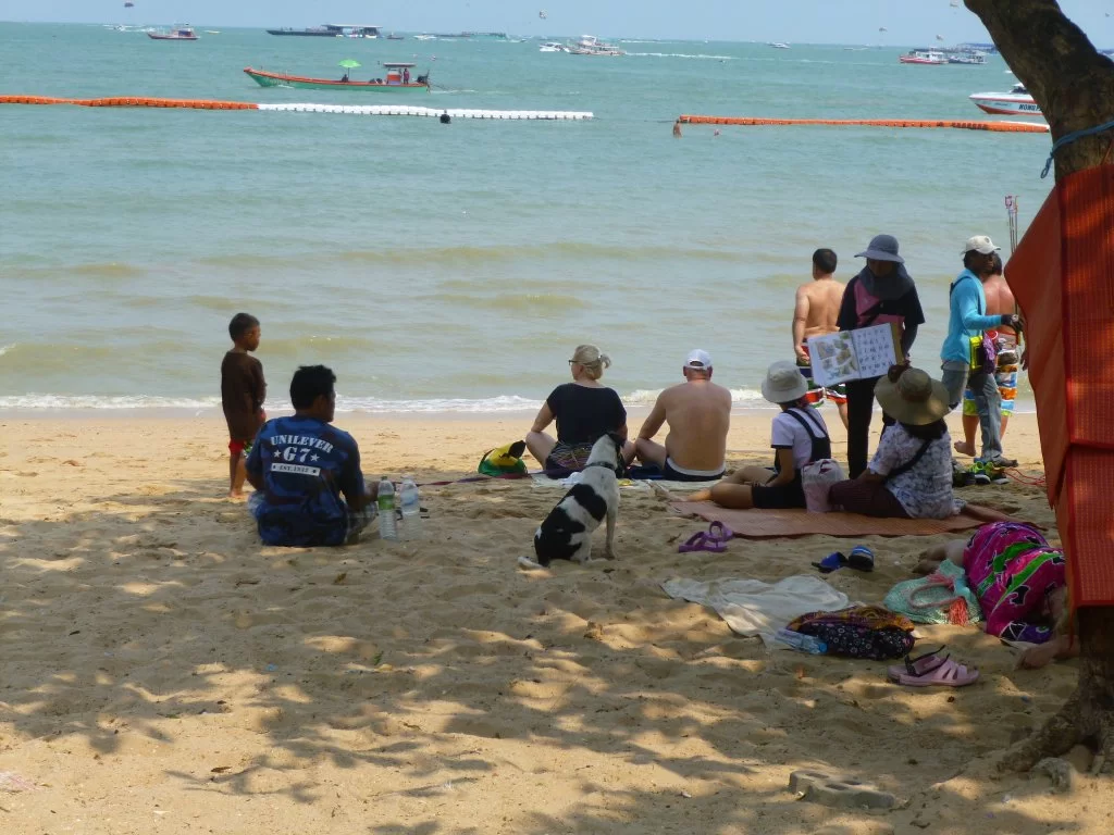P1070534.webp