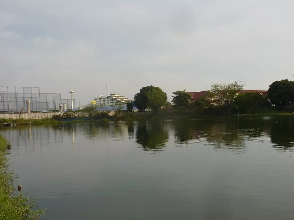 P1070973.webp