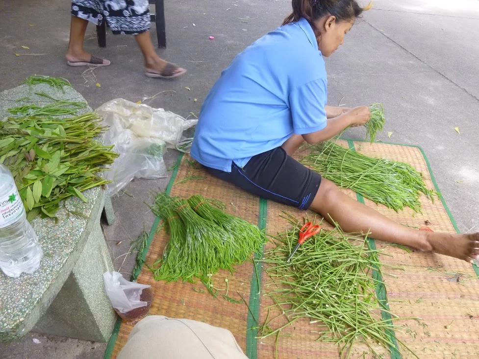 P1090541.webp