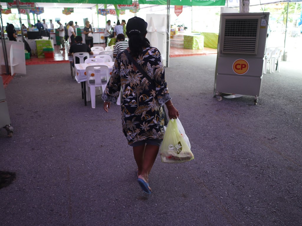 P1090784.jpg