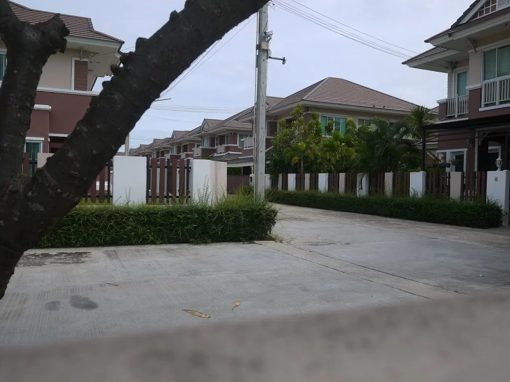 P1090828.webp